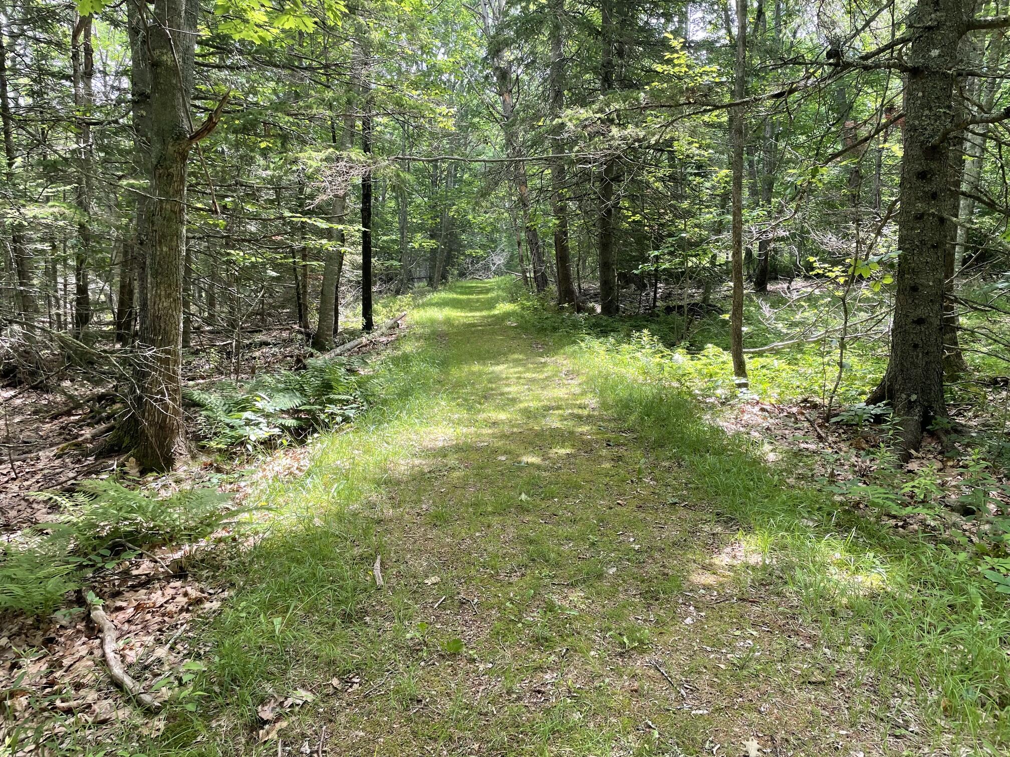 101 Wardwell Point Road Penobscot, ME 04476 - Photo 43 of 44 101 Wardwell