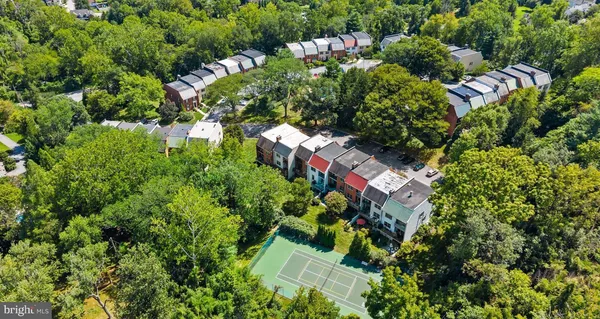 a picture of flowers