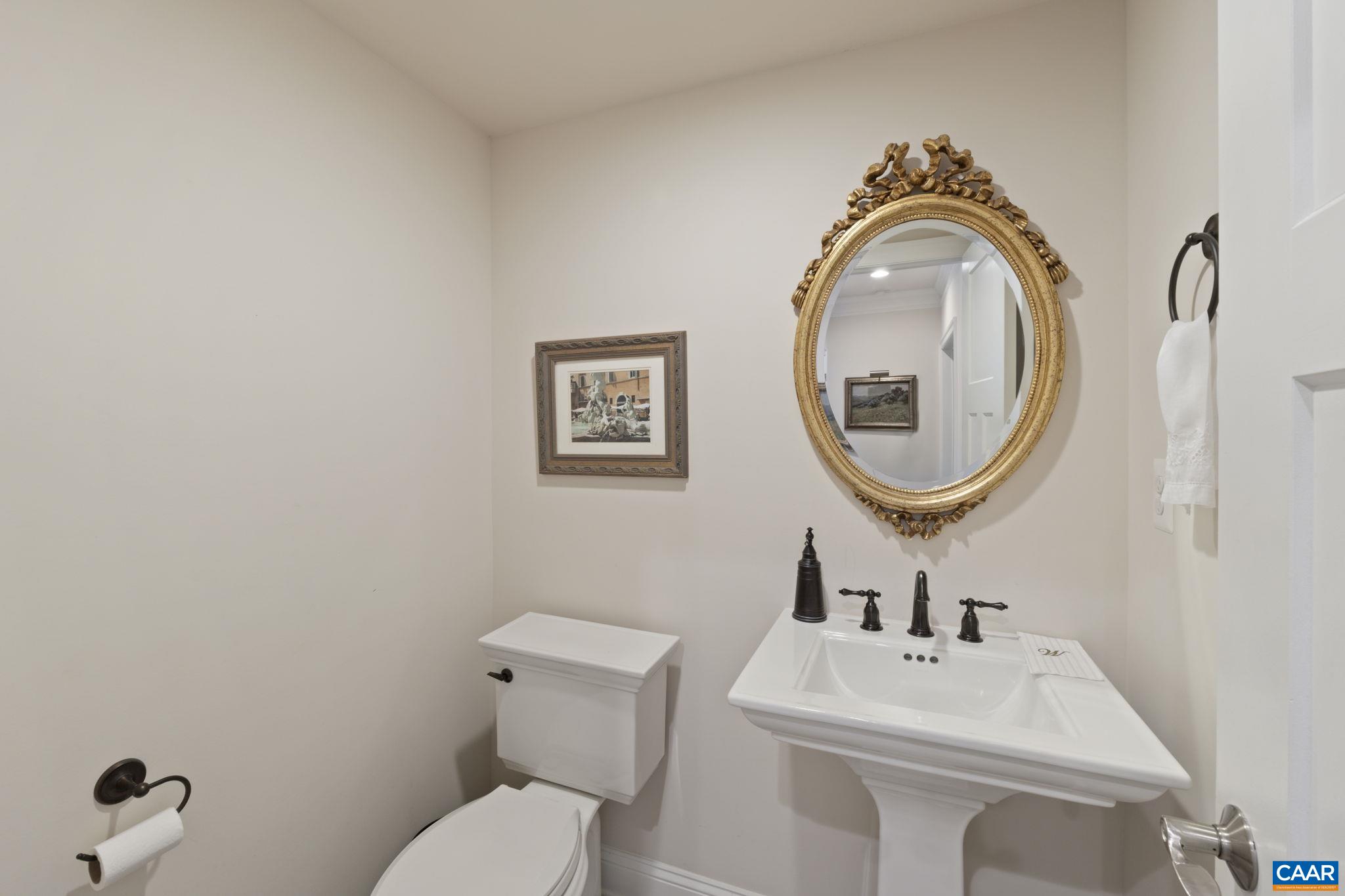 3650 Newbridge Road Keswick, VA 22947 - Photo 16 of 58 a bathroom with a sink mirror a toilet and a sink