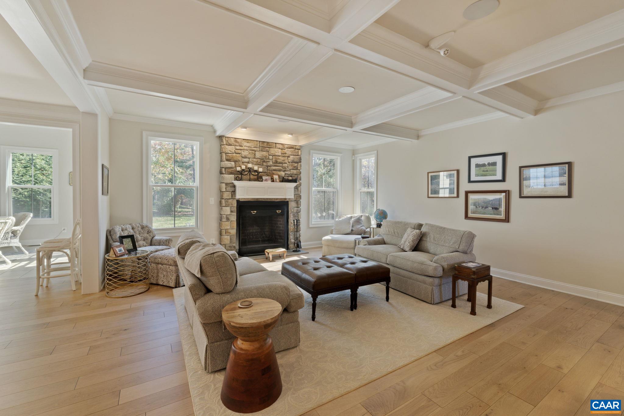 3650 Newbridge Road Keswick, VA 22947 - Photo 18 of 58 a living room with fireplace furniture and a fireplace