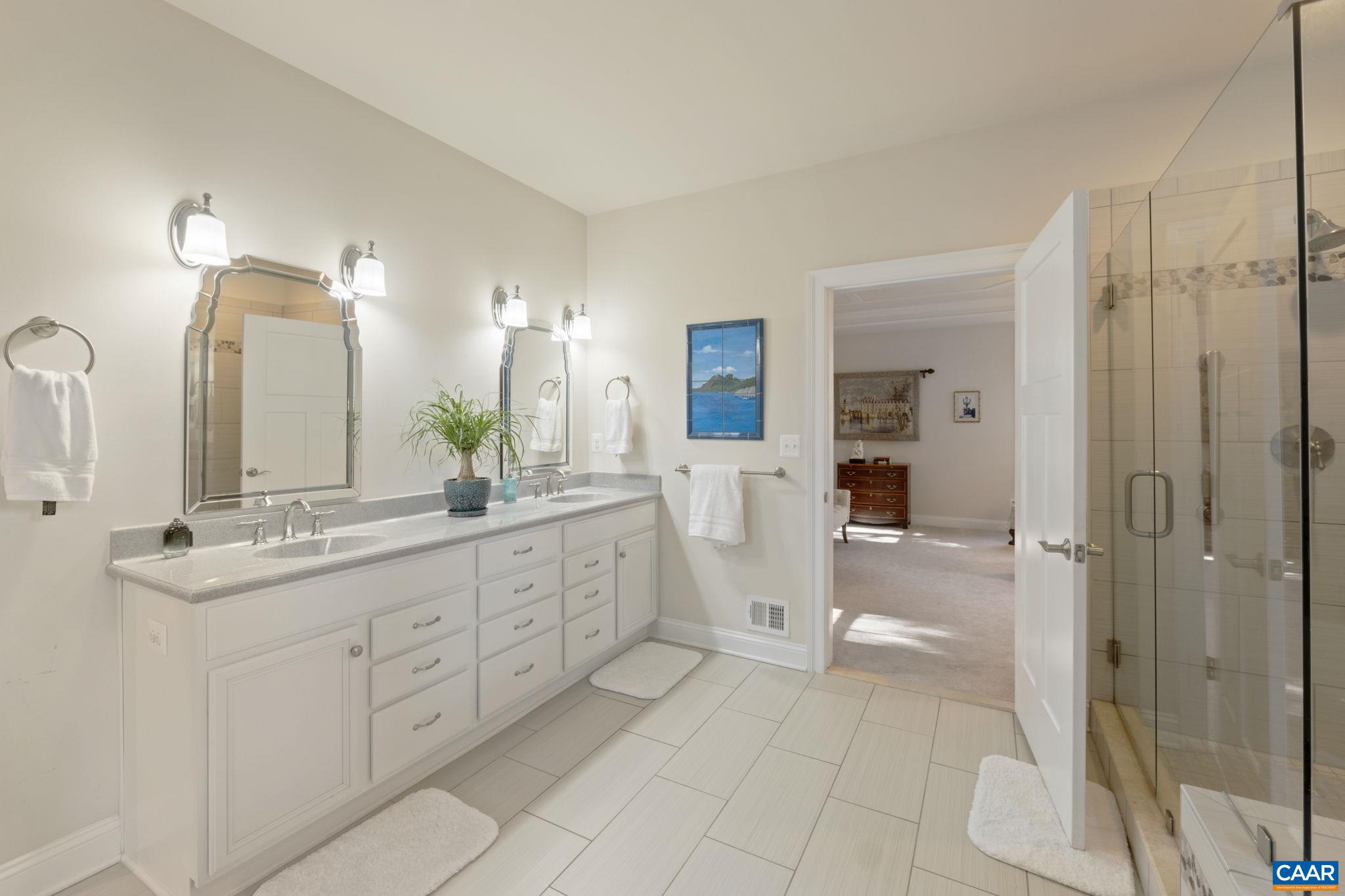 3650 Newbridge Road Keswick, VA 22947 - Photo 37 of 58 a bathroom with a double vanity sink mirror and shower