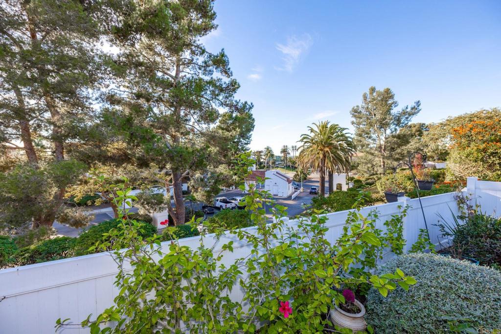 4683 Majorca Way Oceanside, CA 92056 - Photo 32 of 55 a view of a garden with plants and large trees