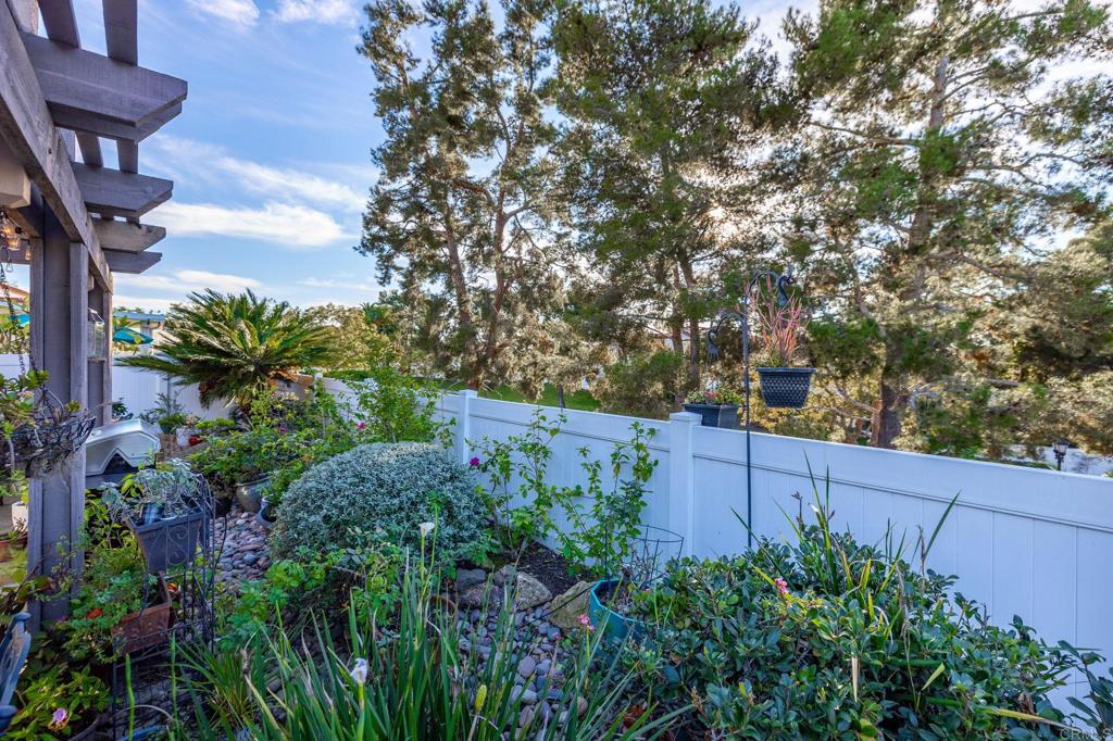 4683 Majorca Way Oceanside, CA 92056 - Photo 38 of 55 a view of garden with plants