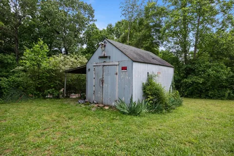 a view of a lush green forest