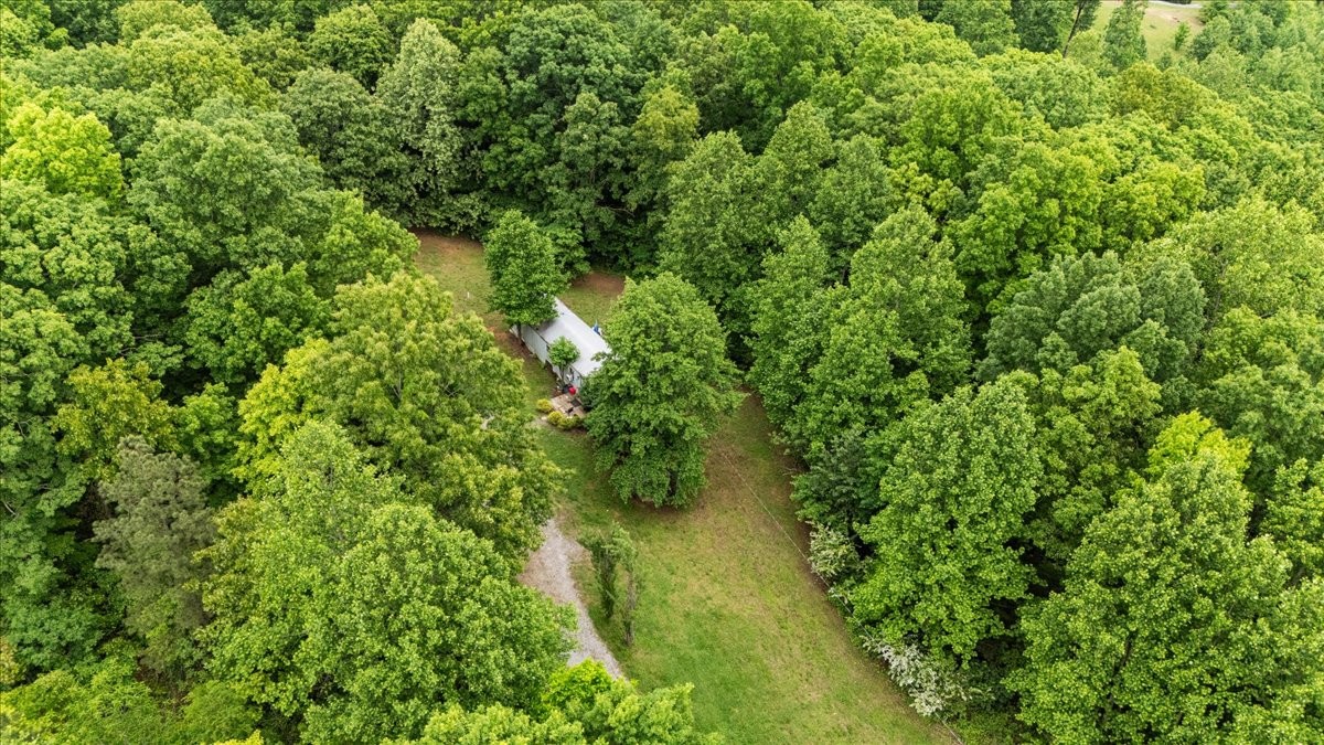 5610 Hargrove Road Franklin, TN 37064 - Photo 13 of 29 a view of a lush green forest