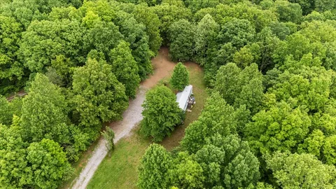 a view of a garden with a tree