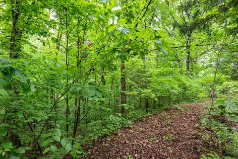 a view of wall with green space