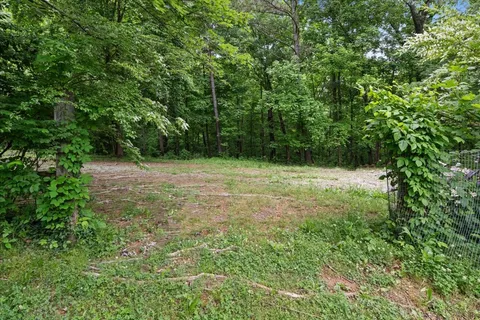 a view of a garden with a lake