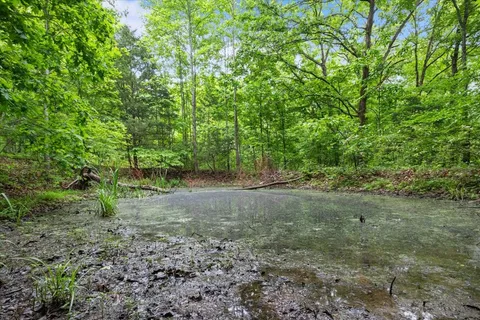 an aerial view of a residential houses with outdoor space and trees
