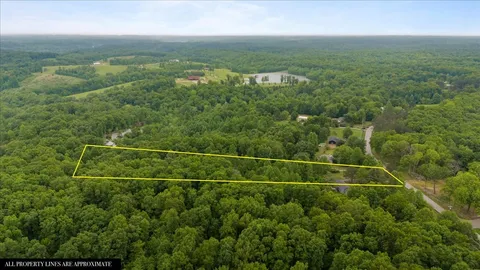 a view of a lush green forest with trees and some houses