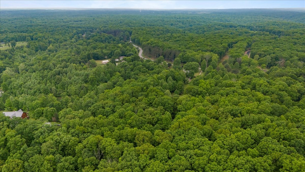 5610 Hargrove Road Franklin, TN 37064 - Photo 21 of 29 a view of a lush green forest with trees and some houses