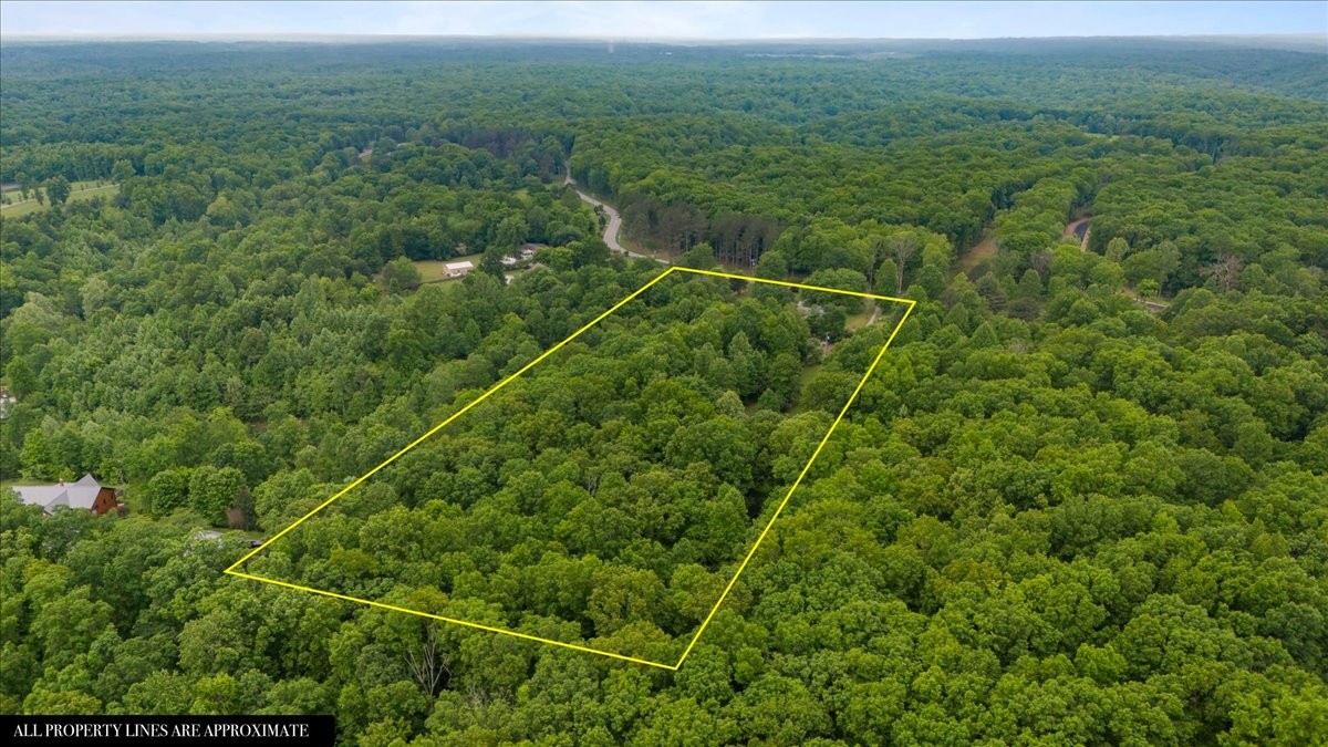 5610 Hargrove Road Franklin, TN 37064 - Photo 22 of 29 a view of a yard with a tree