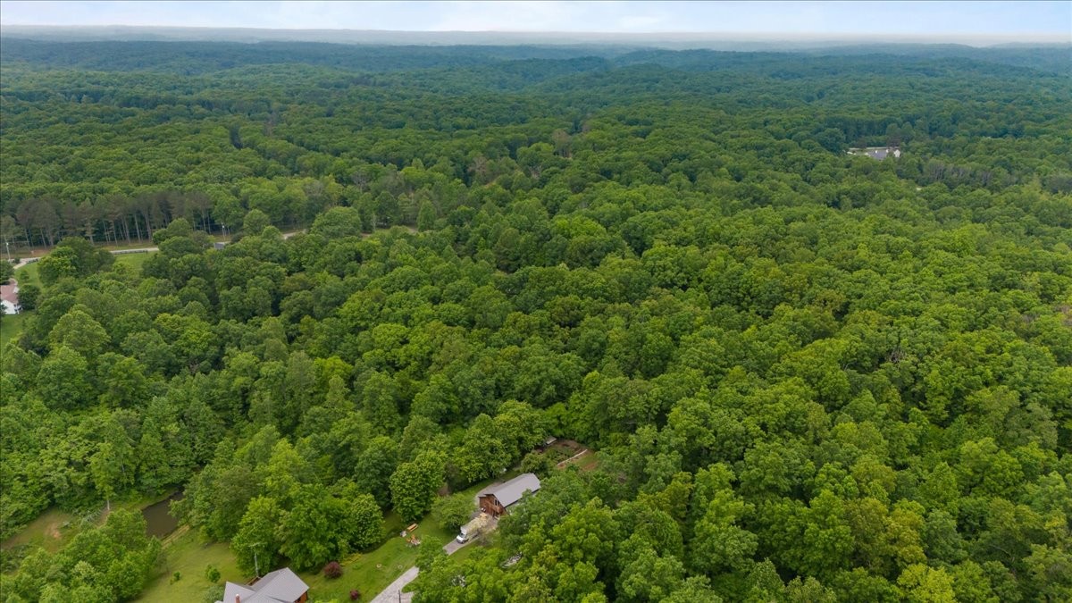 5610 Hargrove Road Franklin, TN 37064 - Photo 23 of 29 a view of a lush green field