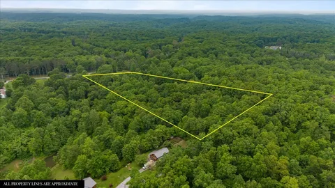 a view of a green field with lots of bushes