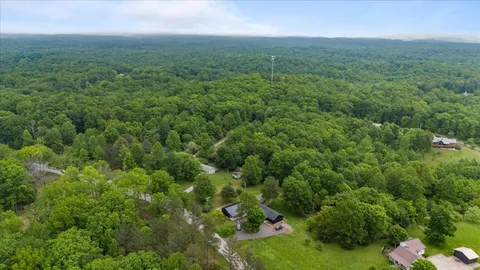a view of a green field with lots of bushes