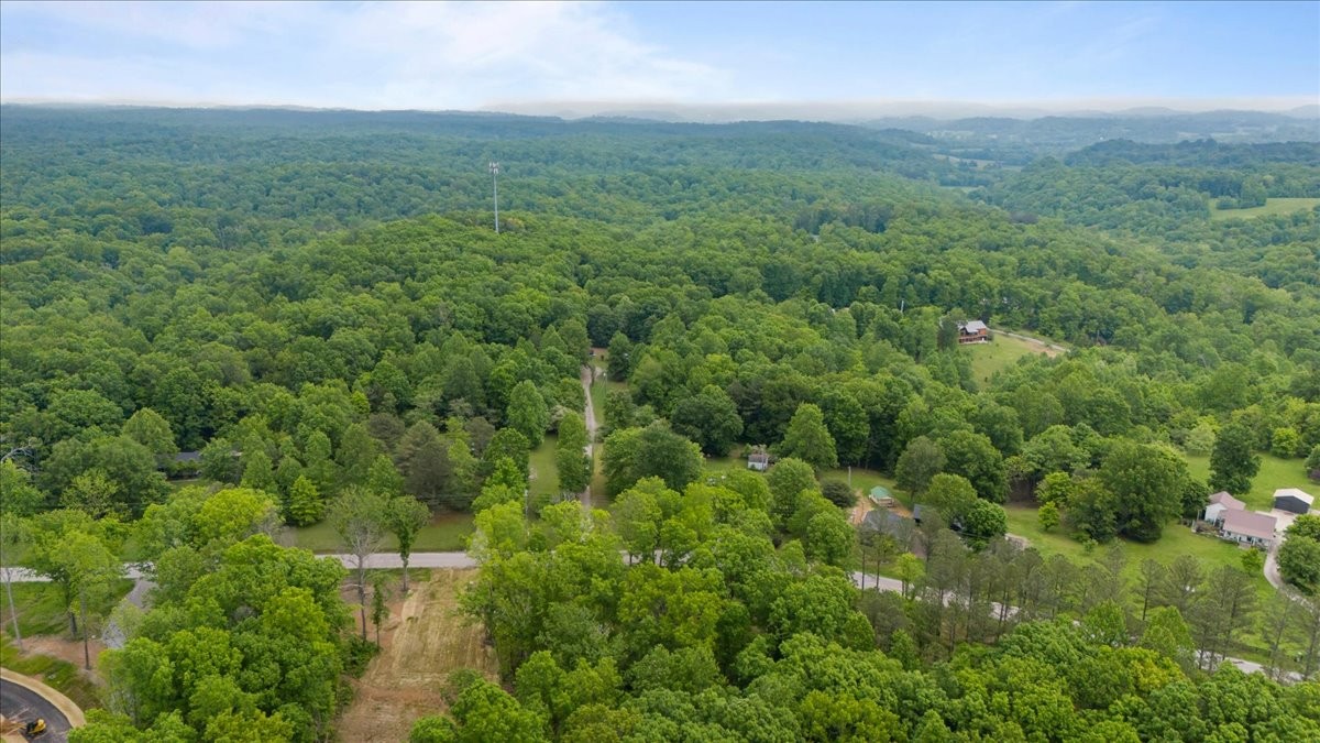 5610 Hargrove Road Franklin, TN 37064 - Photo 26 of 29 a view of a green field with lots of bushes
