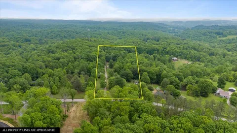 a view of a city with lush green forest