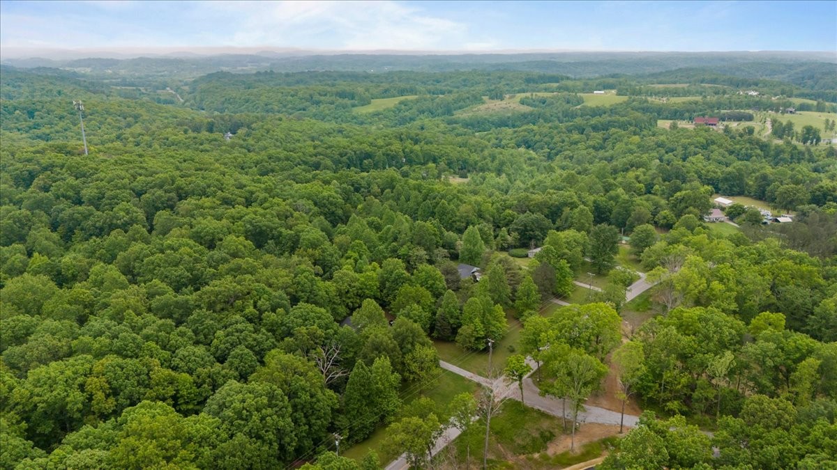 5610 Hargrove Road Franklin, TN 37064 - Photo 28 of 29 a view of a city with lush green forest