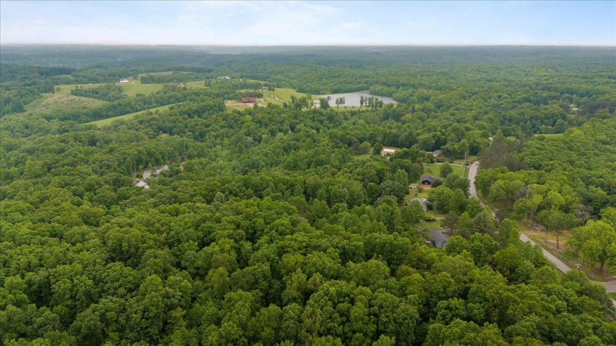 5610 Hargrove Road Franklin, TN 37064 - Photo 29 of 29 an aerial view of residential houses with outdoor and green space