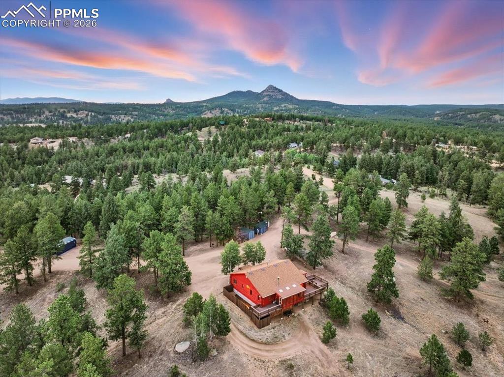 1721 Wildhorn Road Florissant, CO 80816 - Photo 19 of 48