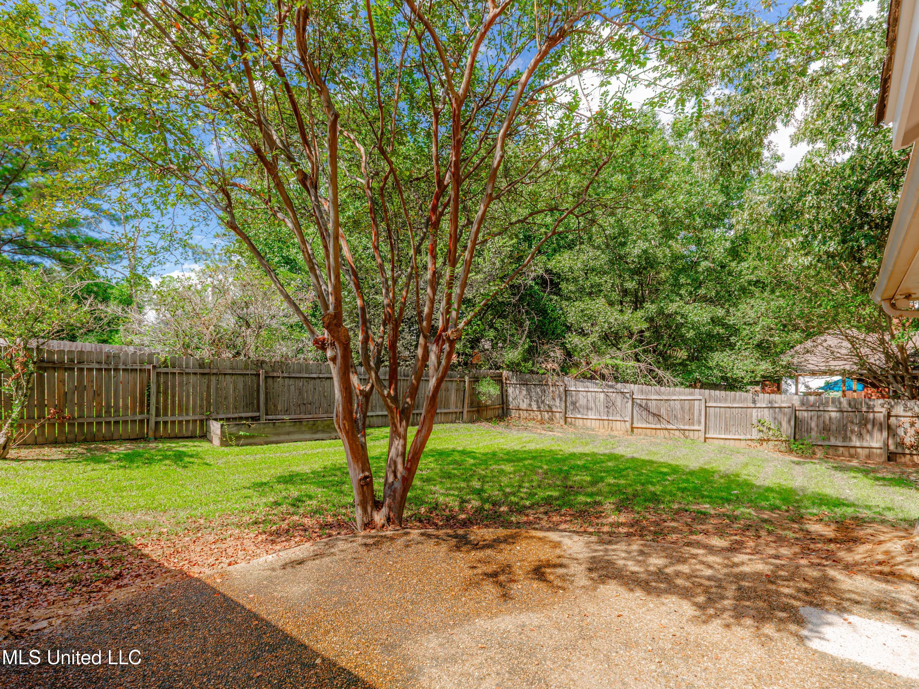 320 Sagewood Drive Ridgeland, MS 39157 - Photo 39 of 50 V63A3147