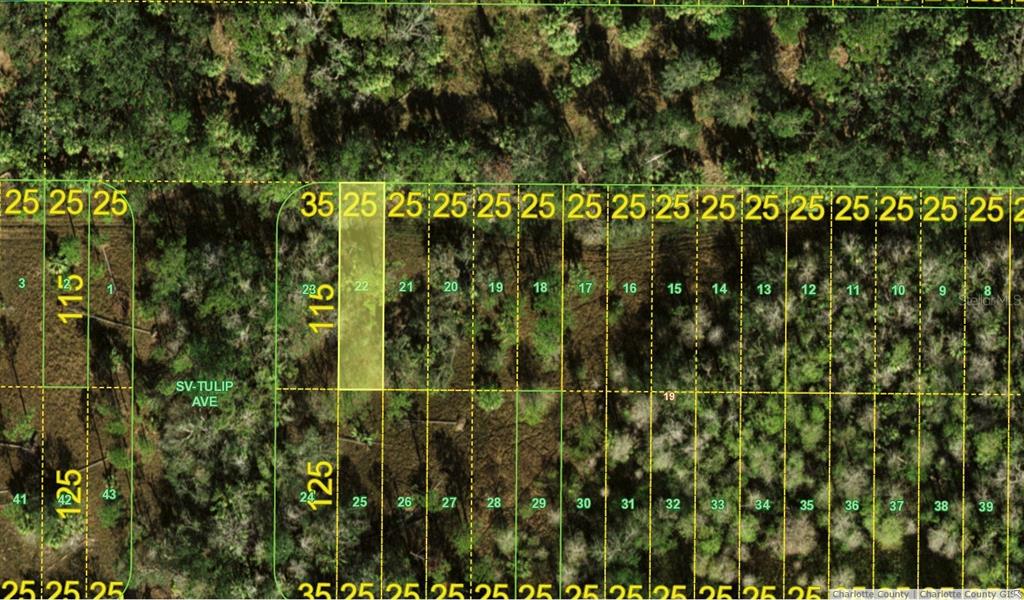 22 Inaccessible Road Punta Gorda, FL 33982 - Photo 1 of 1