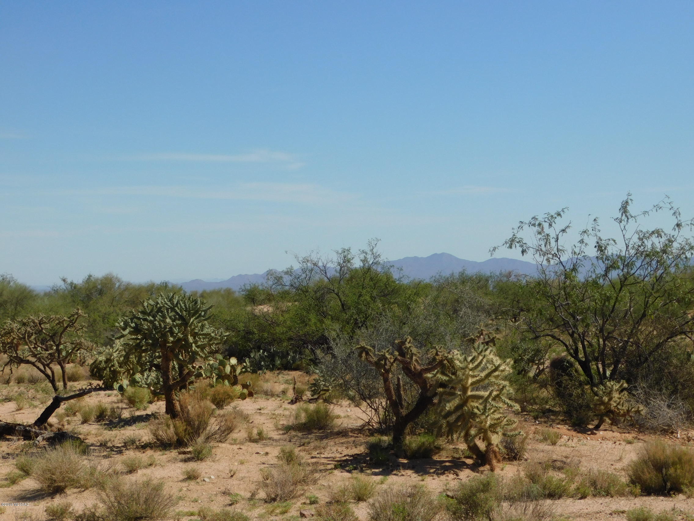 13550 Moeur Road, Unit 252/4 Tucson, AZ 85736 - Photo 3 of 9