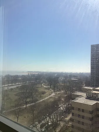 a view of a city from a yard