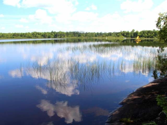 73549 Long Lake Boat Landing Road Mellen, WI 54546 - Photo 16 of 20 Gallery Image 16