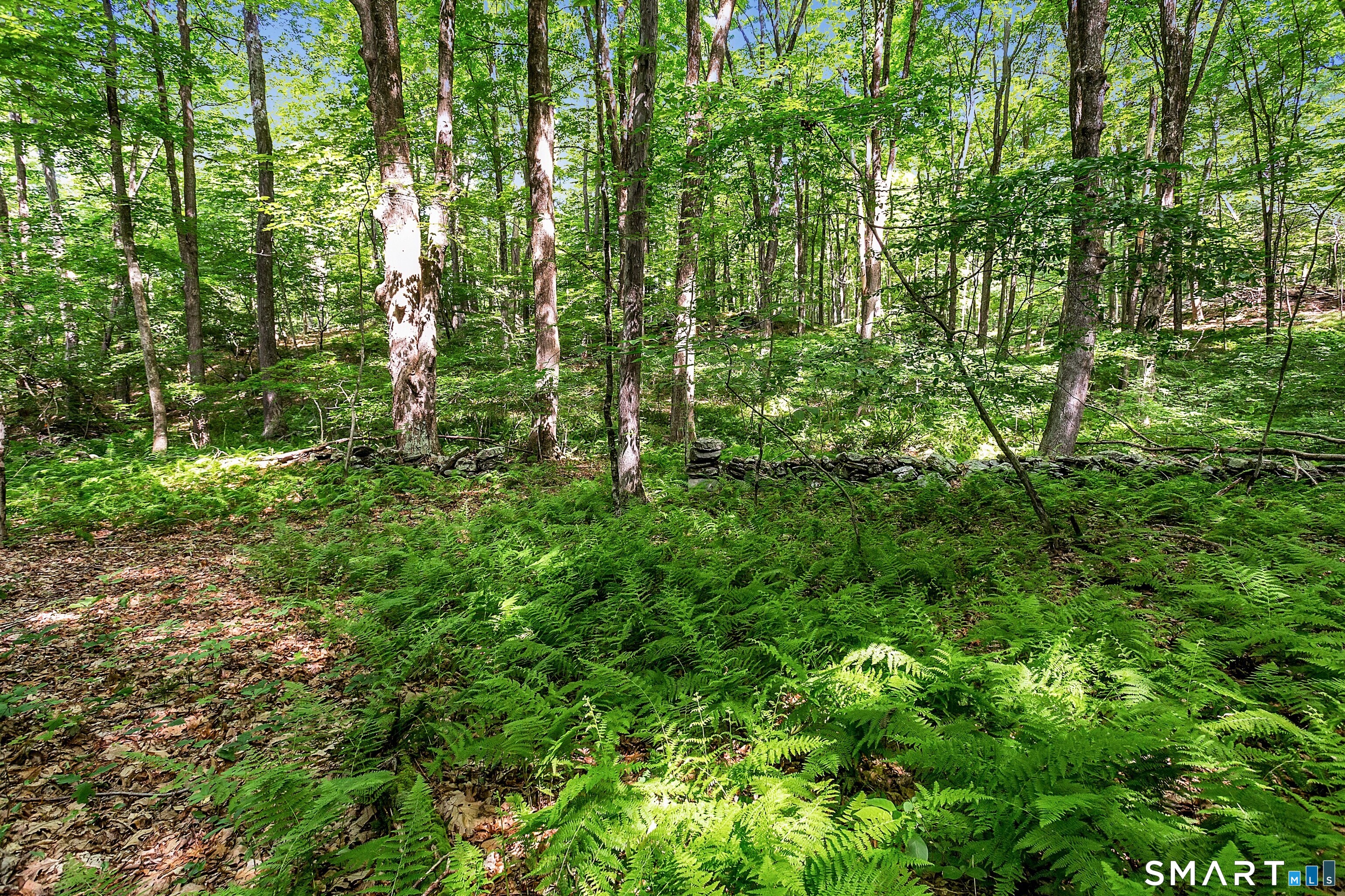 200 North Street Roxbury, CT 06783 - Photo 14 of 20