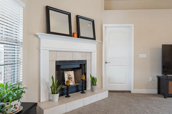 a living room with a fireplace windows and a potted plant