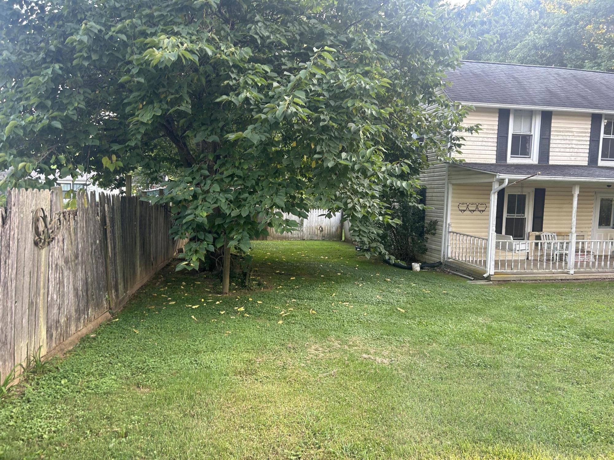 347 Jim Elliott Road Elizabethton, TN 37643 - Photo 4 of 15 IMG-4227
