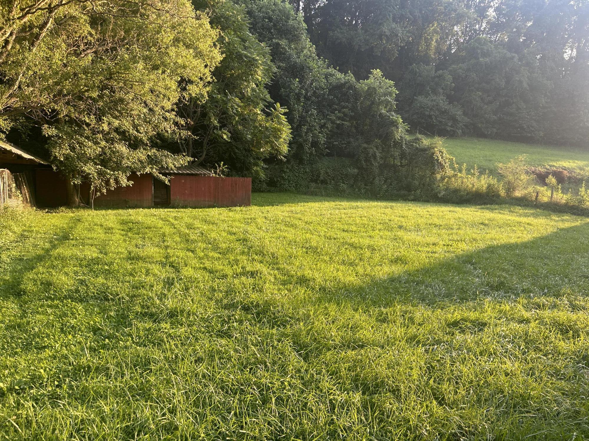 347 Jim Elliott Road Elizabethton, TN 37643 - Photo 5 of 15 IMG-4233