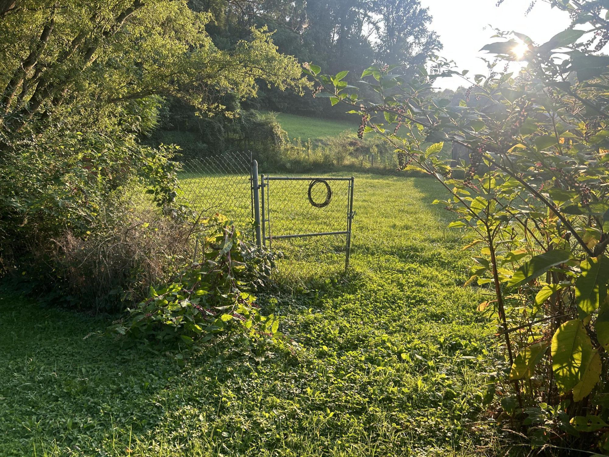 347 Jim Elliott Road Elizabethton, TN 37643 - Photo 6 of 15 IMG-4232