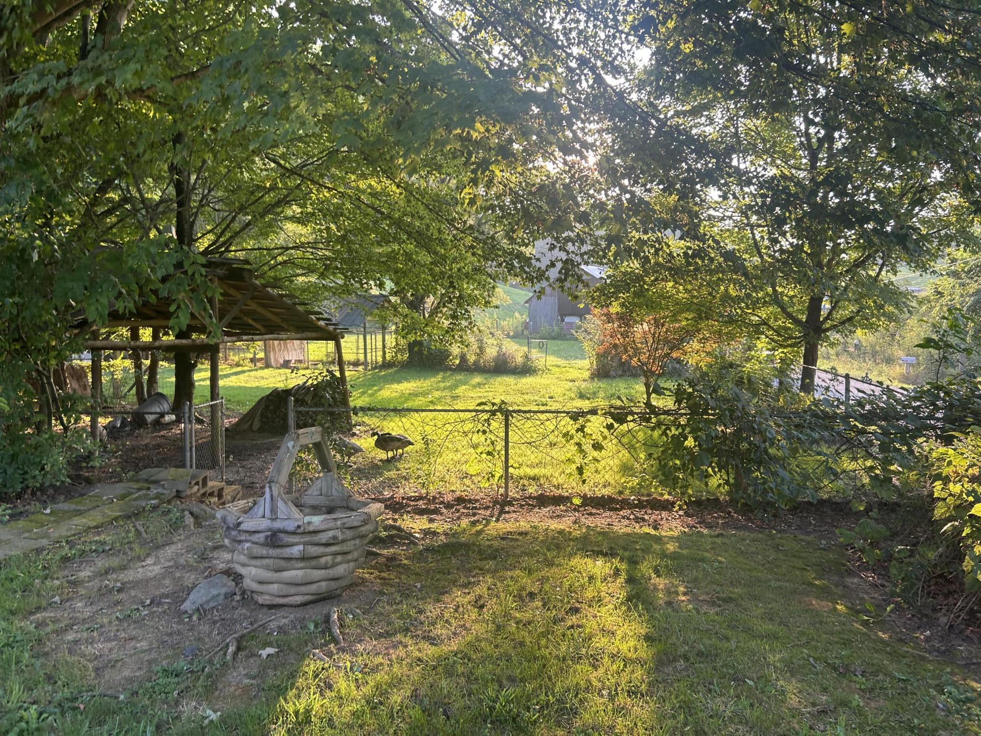 347 Jim Elliott Road Elizabethton, TN 37643 - Photo 8 of 15 IMG-4230