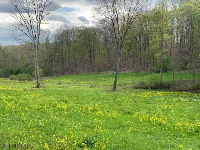 . Decker Hollow Road Tyrone, PA 16686 - Photo 3 of 17 Gallery Image 3