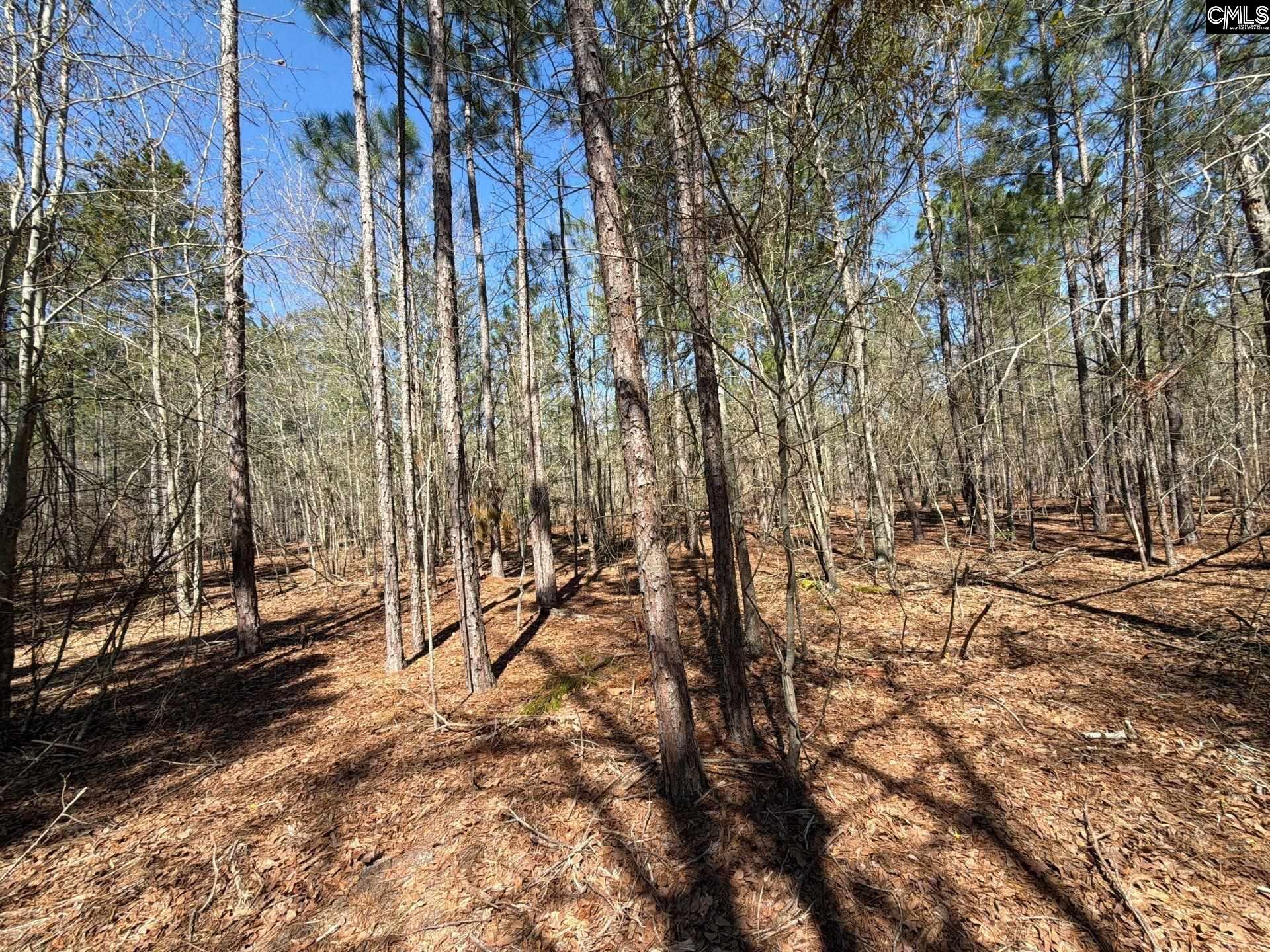 13 Boise Cascade Road, Unit BHL 13 Bethune, SC 29009 - Photo 6 of 31