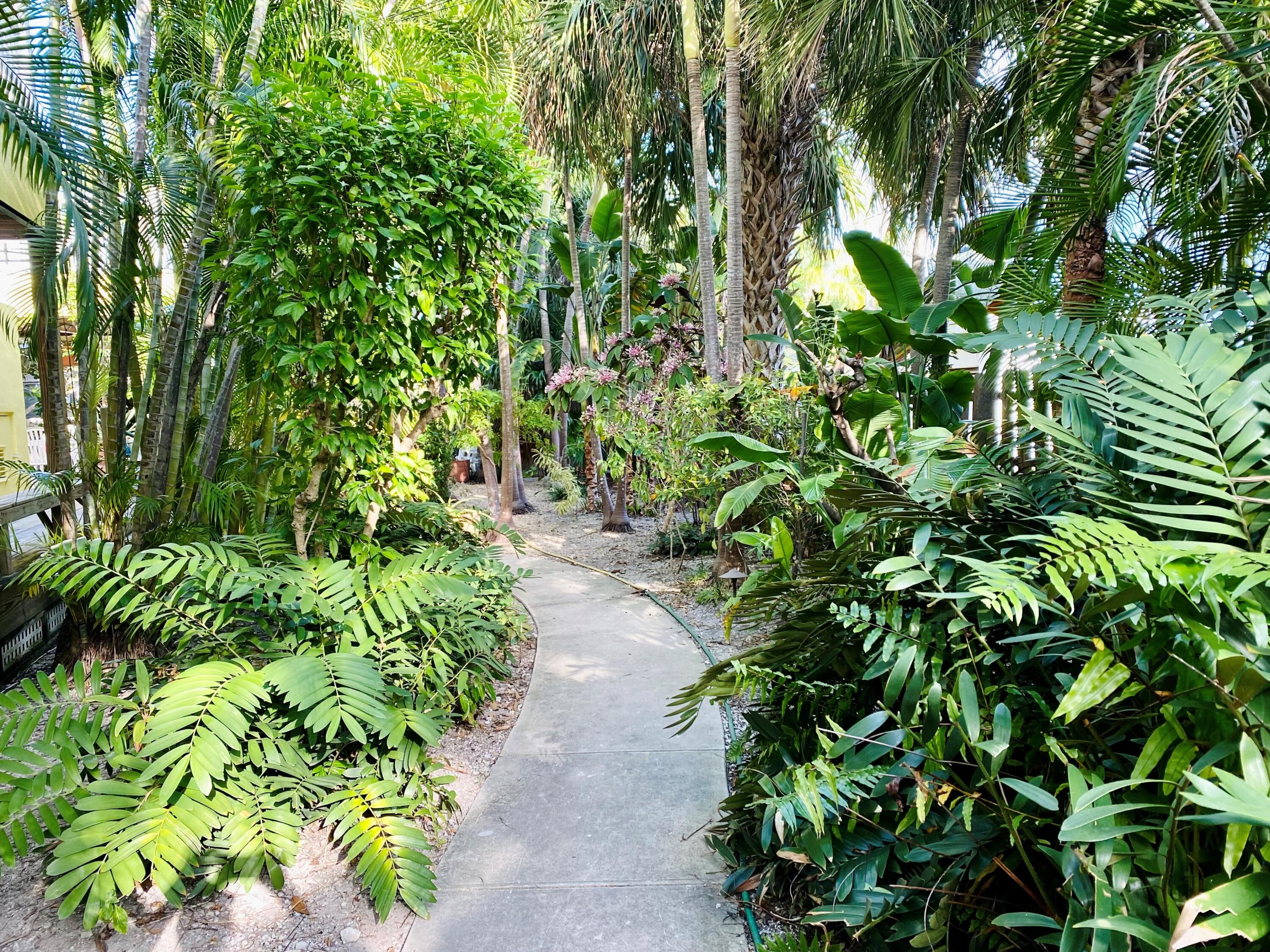 804 South Street, Unit 2 Key West, FL 33040 - Photo 14 of 17 a backyard of a house with lots of green space