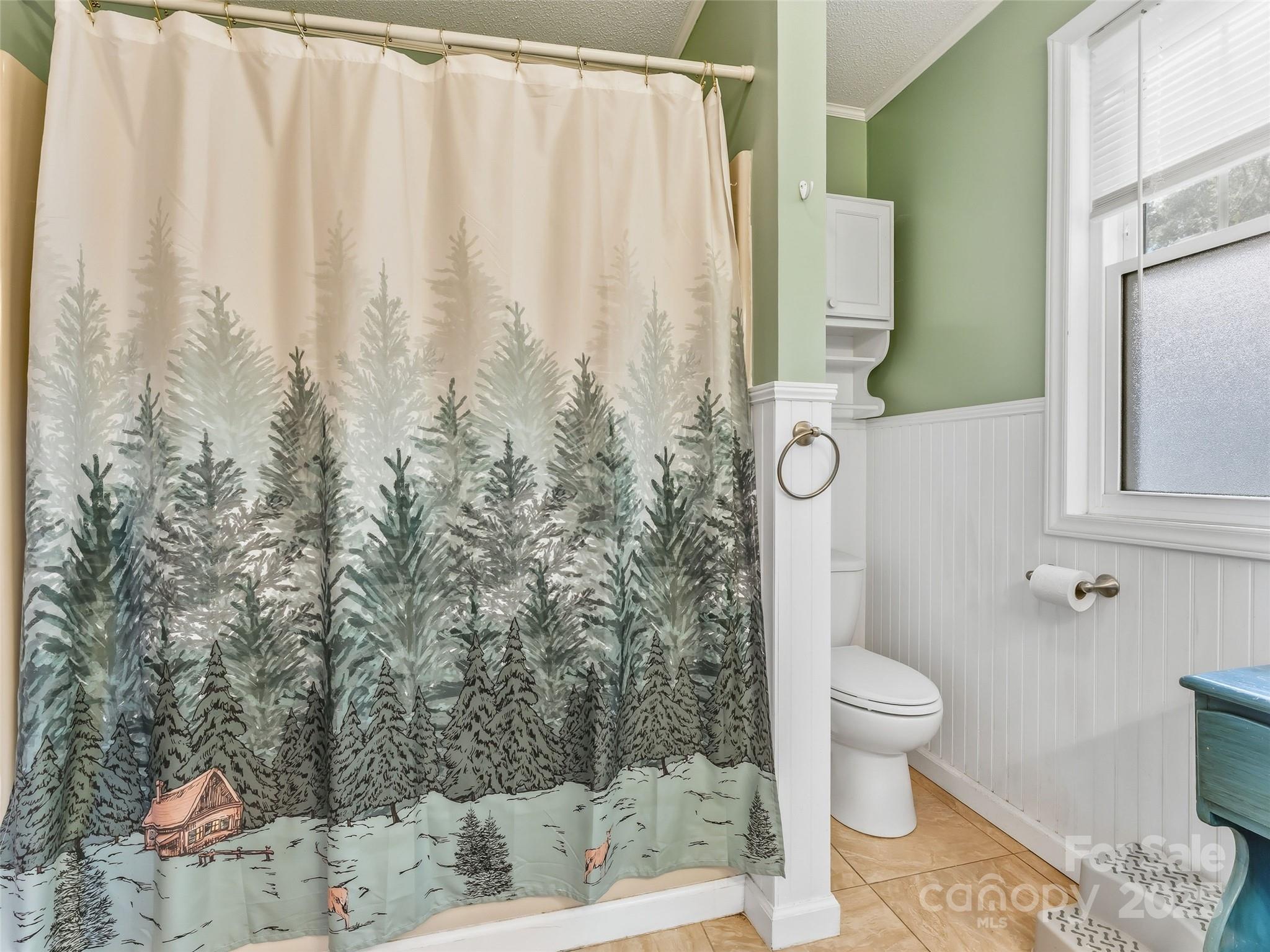 422 East Blue Ridge Road East Flat Rock, NC 28726 - Photo 17 of 26 Gallery Image 17