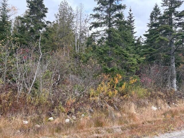 0 Boot Cove Road Lubec, ME 04652 - Photo 3 of 9