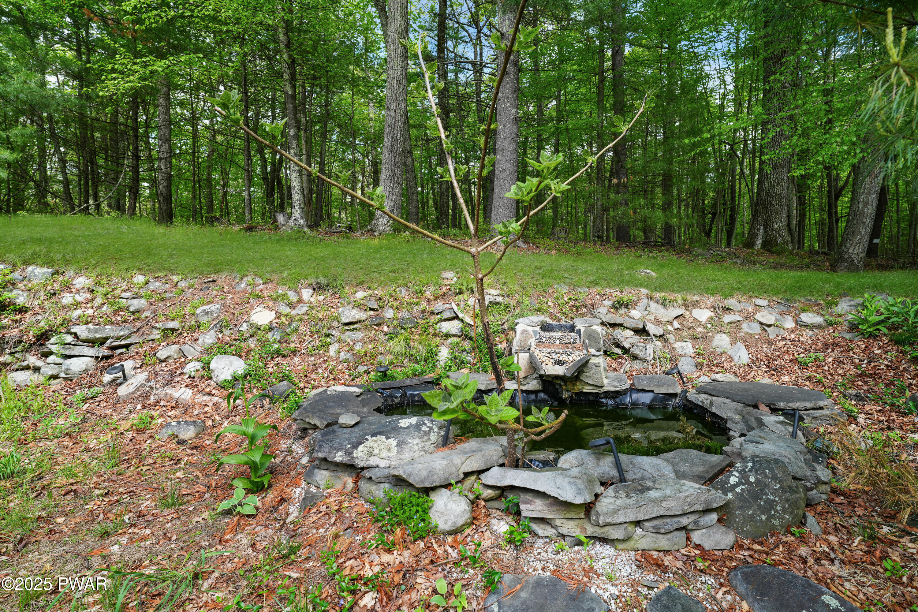 213 Myck Road Dingmans Ferry, PA 18328 - Photo 9 of 40 LEX00138