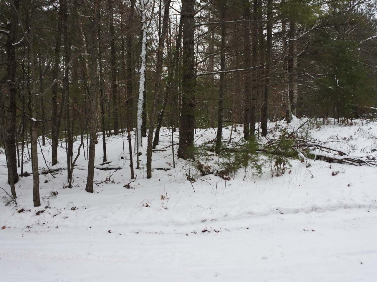 Lot 1 Thoroughfare Road Minocqua, WI 54548 - Photo 16 of 20 Gallery Image 16