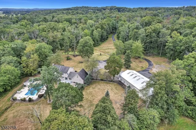 a view of a city with lush green forest