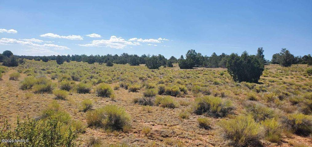 10010 West Red Bluff Road Williams, AZ 86046 - Photo 11 of 11 Red-11