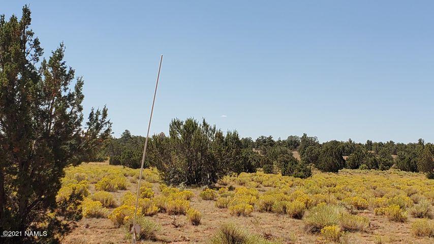 10010 West Red Bluff Road Williams, AZ 86046 - Photo 8 of 11 Red-8