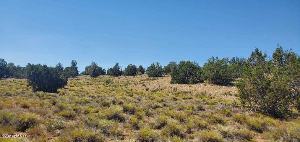 10010 West Red Bluff Road Williams, AZ 86046 - Photo 9 of 11 Red-9