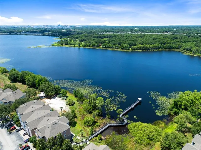 an aerial view of green landscape with trees houses and mountain view