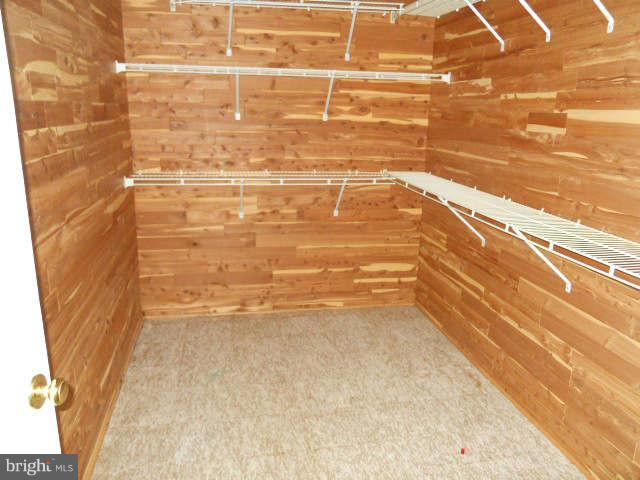 11812 Bishops Content Road Bowie, MD 20721 - Photo 15 of 18 Cedar closet