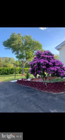 Driveway View