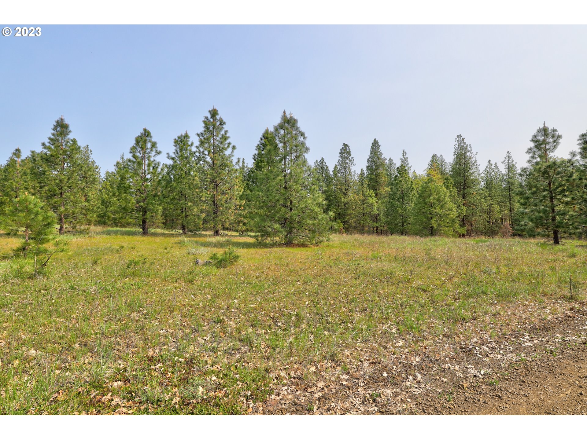 Outback Road Goldendale, WA 98620 - Photo 1 of 16 Gallery Image 1